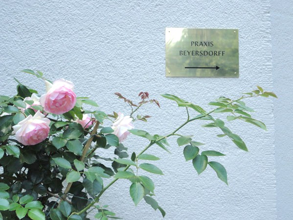 Und Rosen